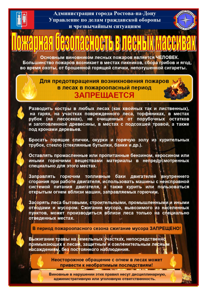 59.41-2243_11-13_03_07_2025_Лесные_пожары_page-0001.jpg