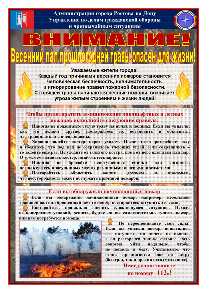 59.41-2243_11-13_03_07_2025_Ландшафтные_пожары_page-0001.jpg