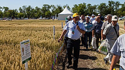 Выставка-демонстрация «День Донского поля»