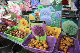 Выставка-ярмарка «Дачный сезон»